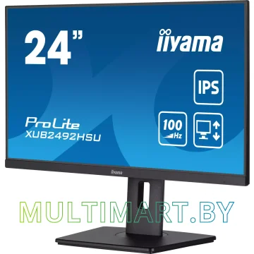 Монитор Iiyama ProLite XUB2492HSU-B6 картинка 4